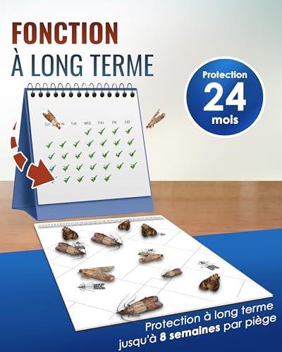 Vue 5 de Pic Pieges Mites