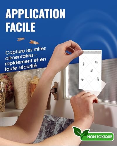 Vue 6 de Pic Pieges Mites