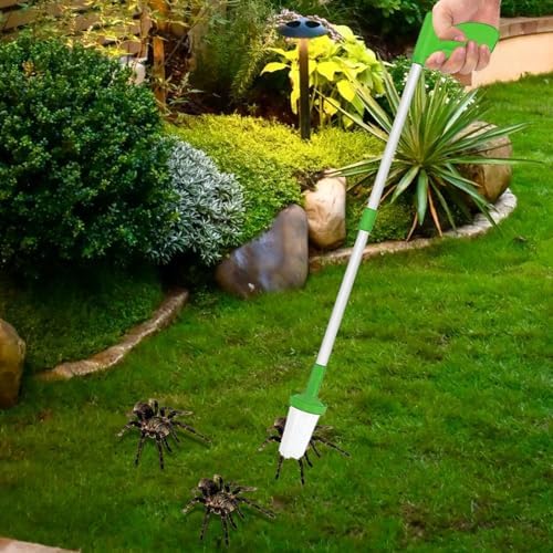 Vue 2 de Attrapearaignee Long Manche