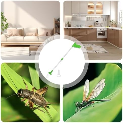 Vue 5 de Attrapearaignee Long Manche