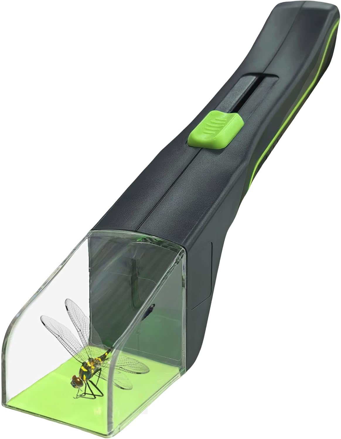 Traitement Araignées - Traitement antiparasitaire professionnel