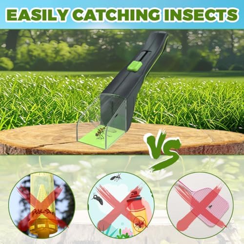 Vue 6 de Amfun Attrape Insecte Attrape