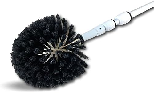 Vue 5 de Tete De Loup Balai