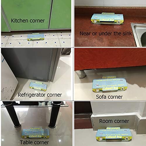 Vue 3 de Trapro Piege Cafards