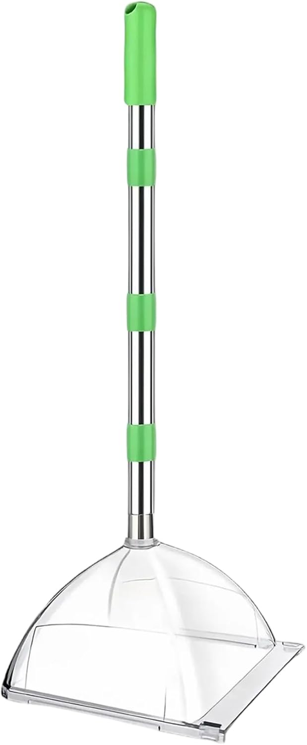 Peosaard Catcher Dinsectes Pour