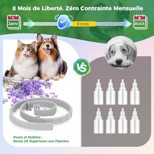 Vue 3 de Collier Anti Puces Pour