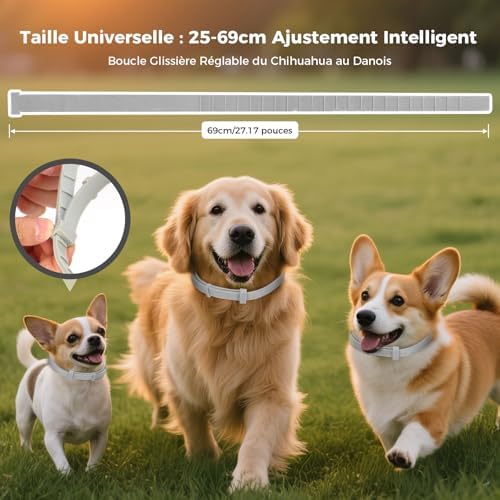 Vue 4 de Collier Anti Puces Pour