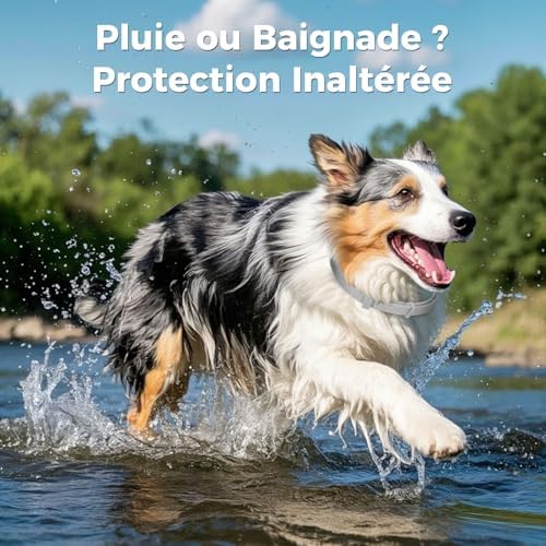 Vue 5 de Collier Anti Puces Pour