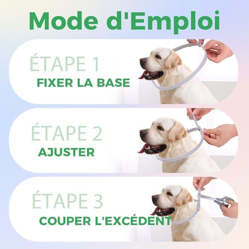 Vue 6 de Collier Anti Puces Pour