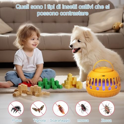 Vue 5 de Gachiwar Piege Puces