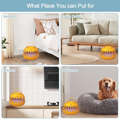 Vue 6 de Gachiwar Piege Puces