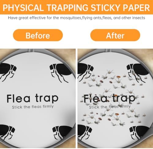 Vue 3 de Flintronic Pcs Piege