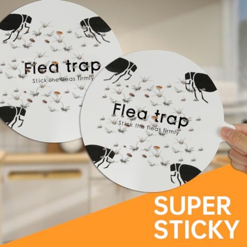 Vue 7 de Flintronic Pcs Piege