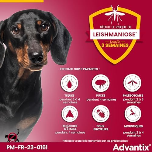Vue 4 de Advantix Tres Petit Chien