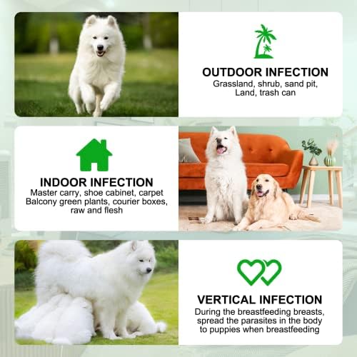 Vue 7 de Chips Et Tick Prevention