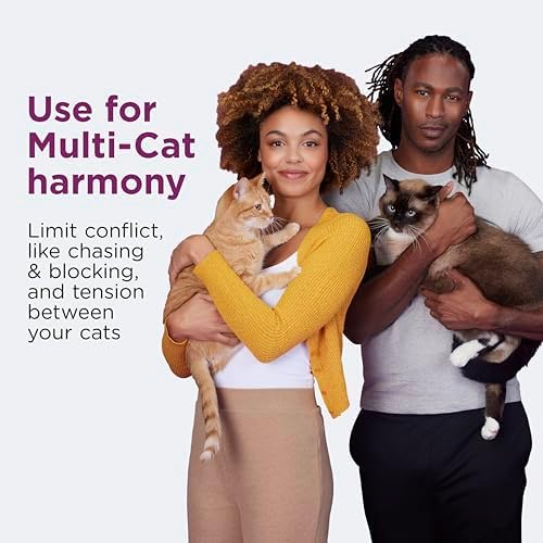 Vue 2 de Comfort Zone Recharge Pour