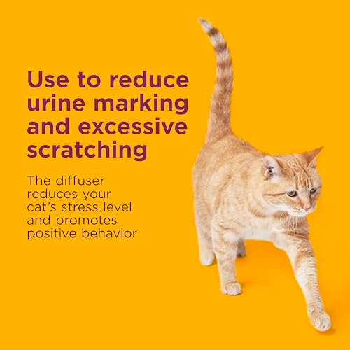 Vue 3 de Comfort Zone Recharge Pour