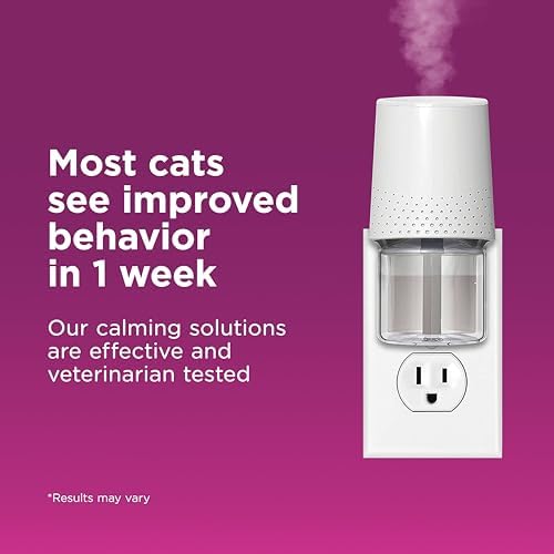 Vue 4 de Comfort Zone Recharge Pour