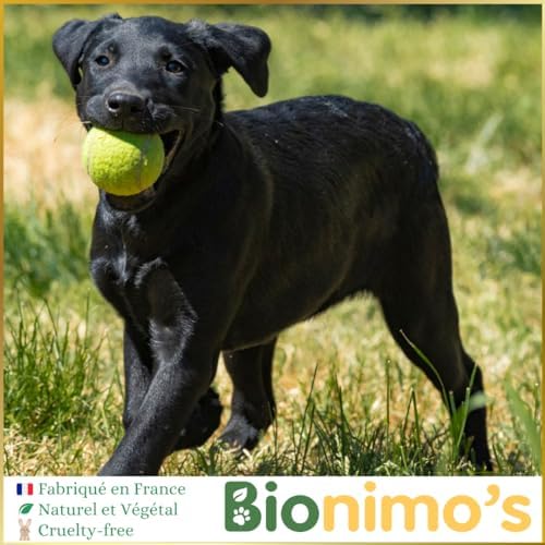 Vue 5 de Spray Repulsif Antipuces Tiques