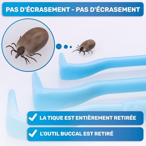 Vue 3 de Bluepet Tire Tique