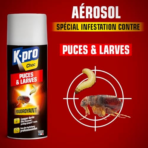Vue 2 de Kpro Choc Spray Aerosol