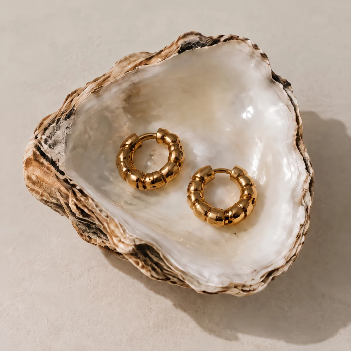Matched pair of gold scalloped hoop earrings lying side by side in an open oyster shell