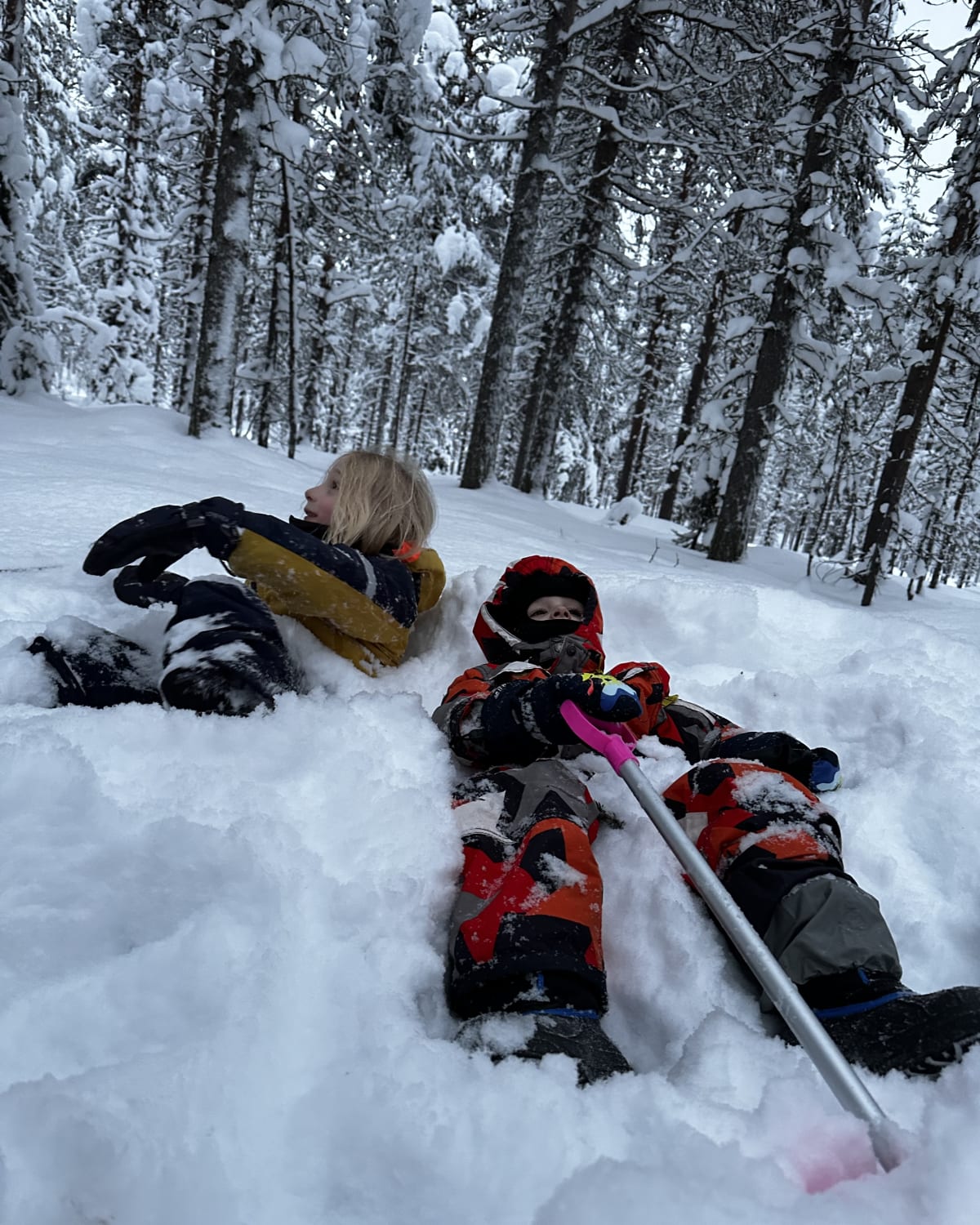 Two of the boys lying in deep snow in the forest behind the house