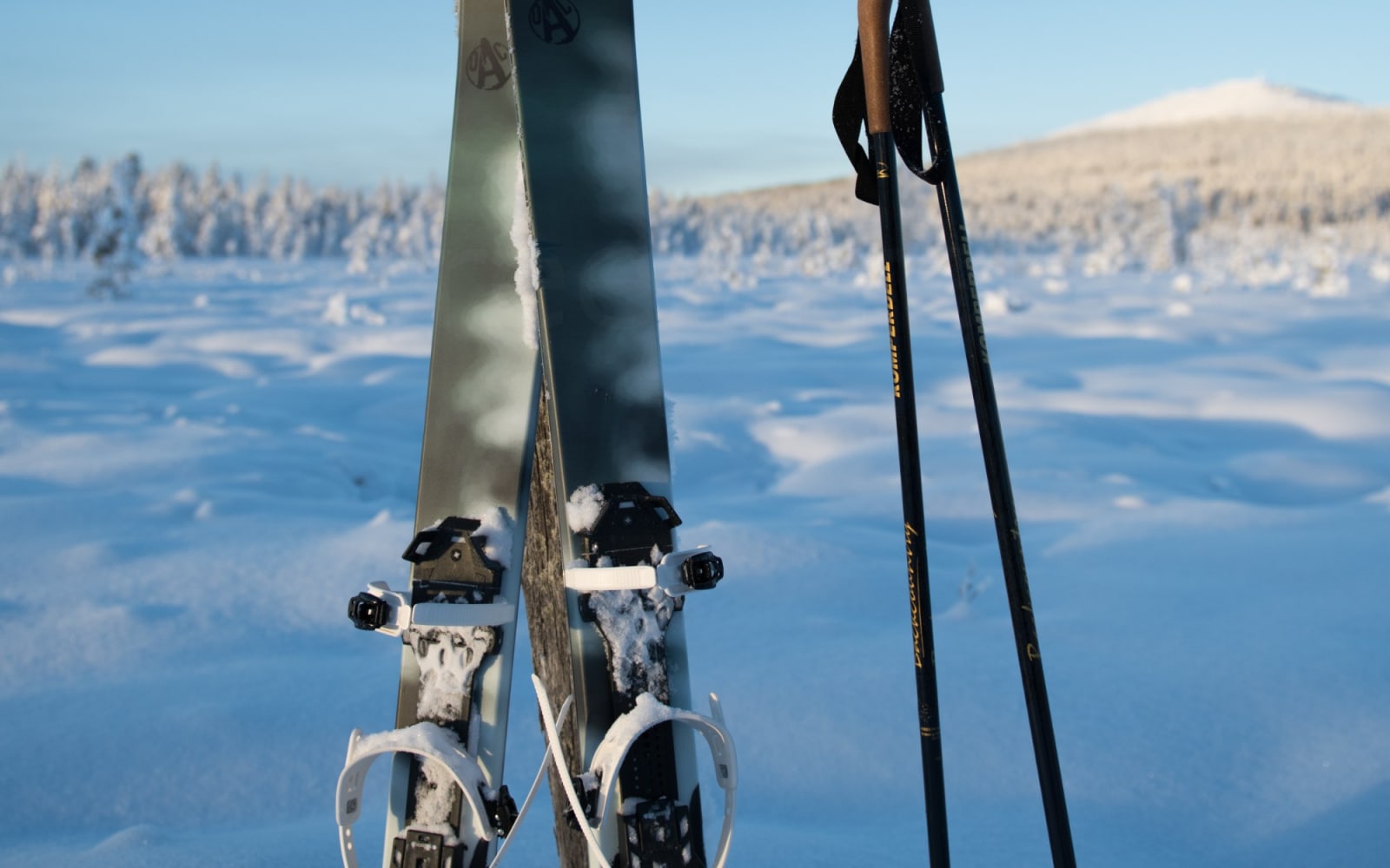 Private forest skiing tour with kota lunch