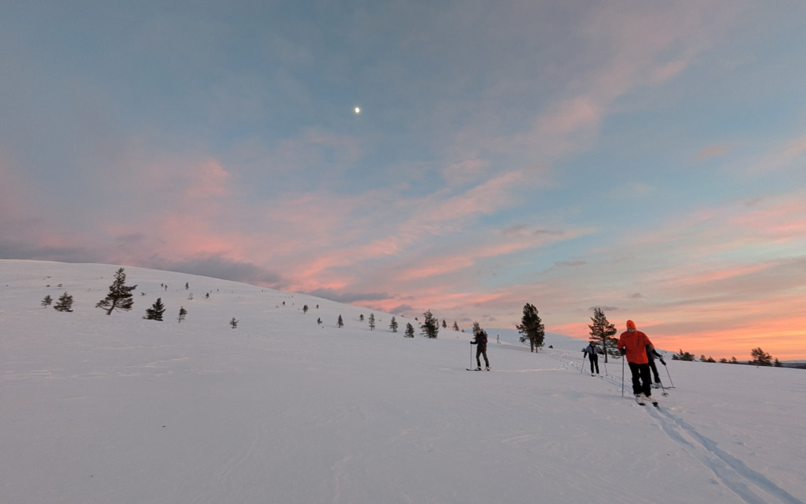 Private forest skiing tour at Pallastunturi with soup lunch