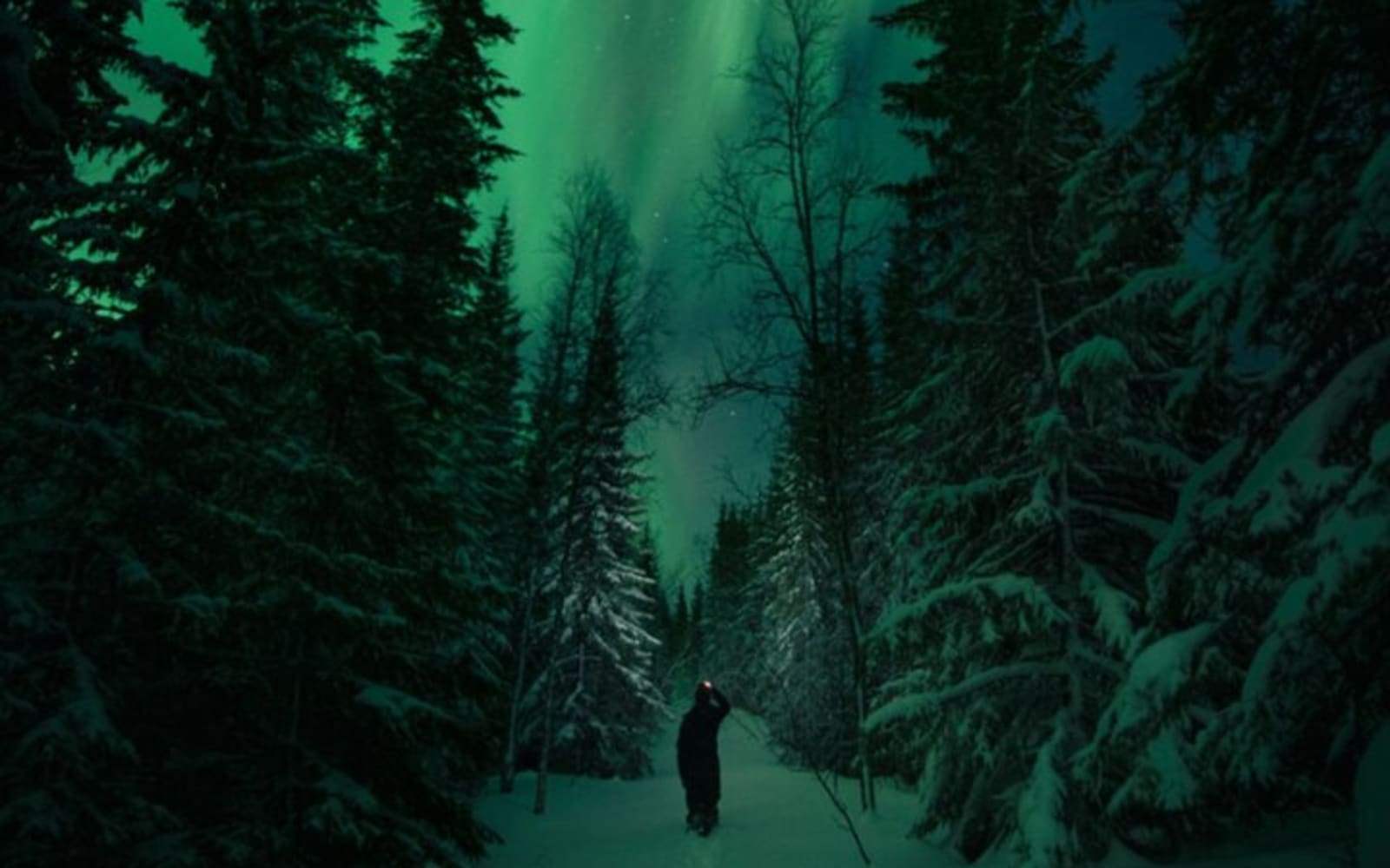 Adults Only Aurora Hunt with Snowshoeing