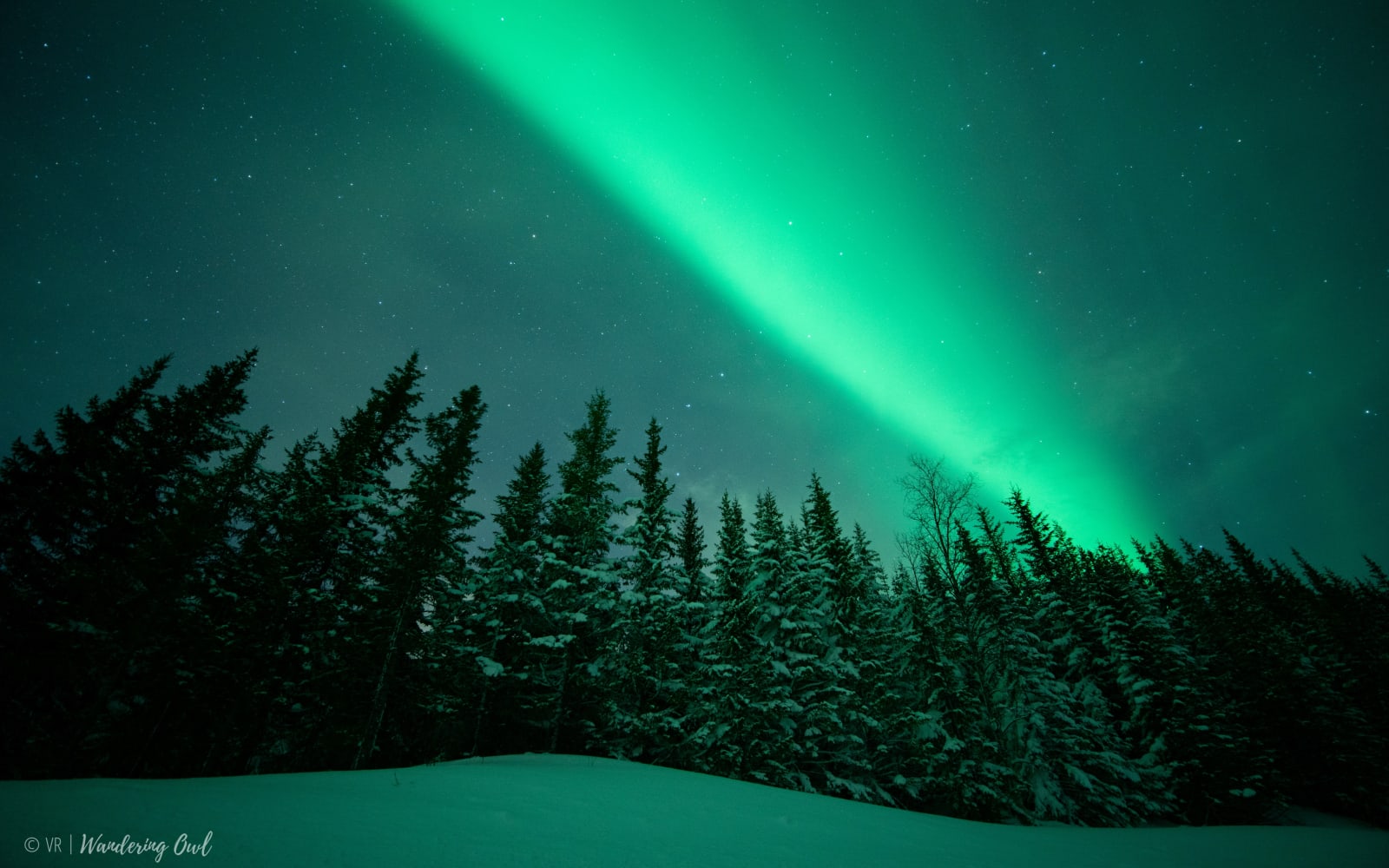 Private Aurora Hunt