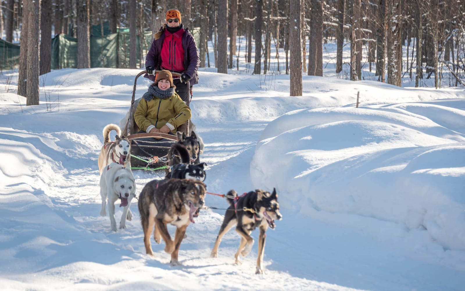 The Story of Santa Claus – A Journey to the Heart of Christmas (Husky Sled Experience)