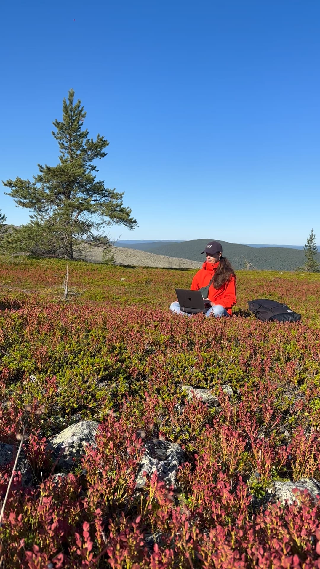 Sitting with a laptop on a fell top above Levi among reddening blueberry heath in August