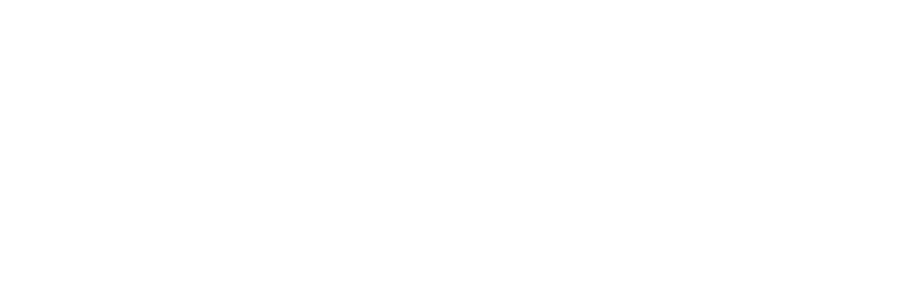Levikaira logo