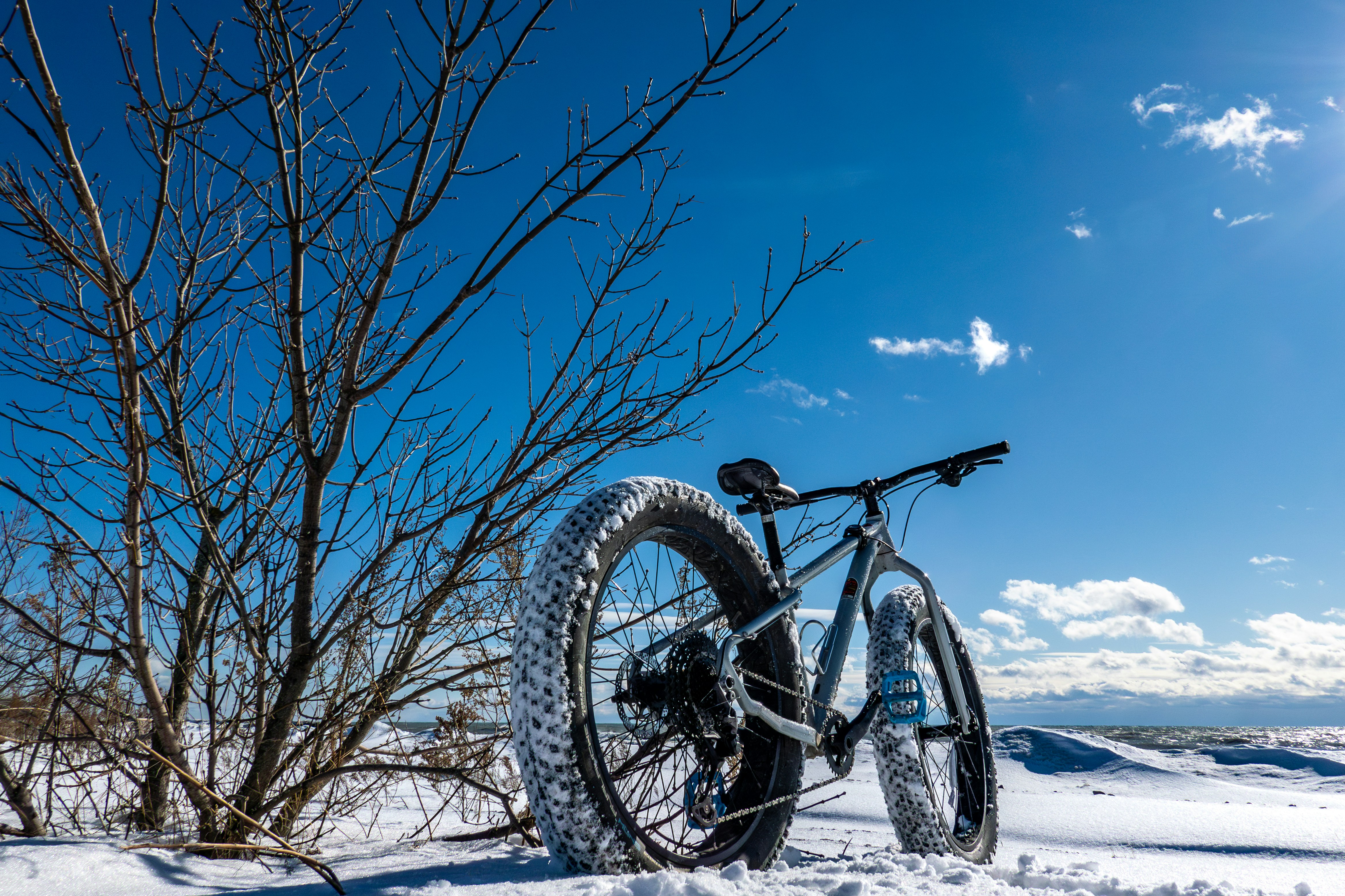 A fat-bike rider on a snowy forest trail near Levi.
