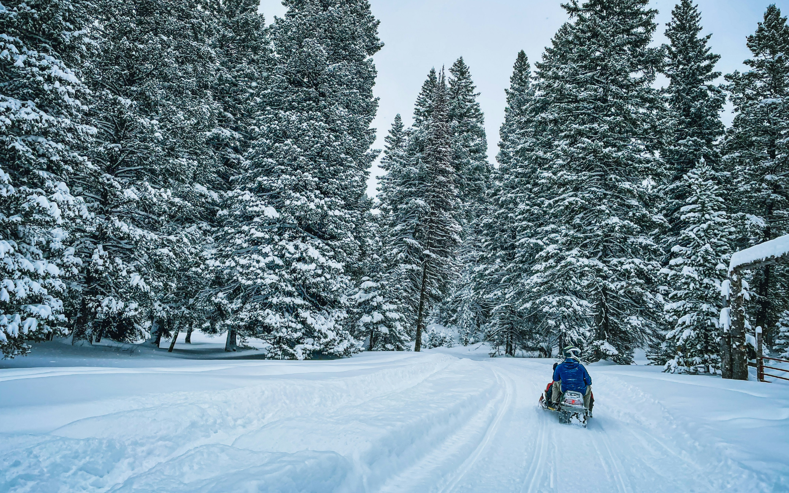 Northern Lights Snowmobile Safari - by the Scandinavian Travel Group