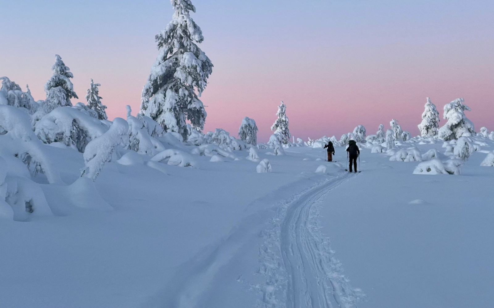 Private - Sightseeing & Hike To Särkifell From Levi