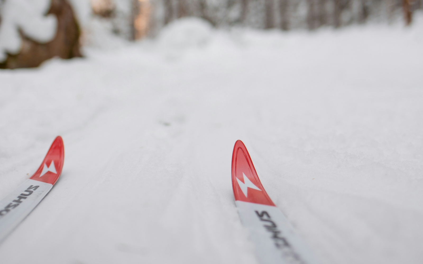 Cross-Country Ski Rental