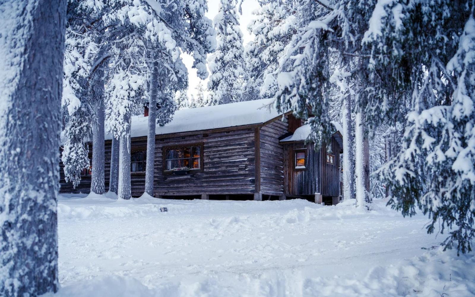 Hanhipirtti - Café in Wilderness