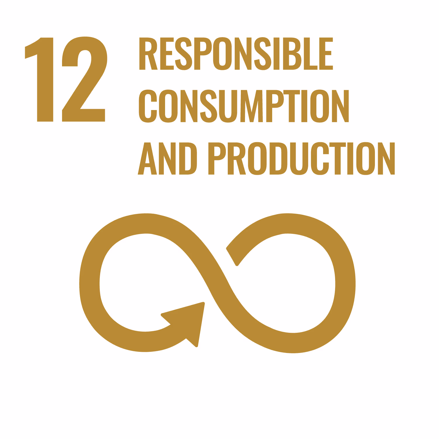 SDG 12: sdg 12