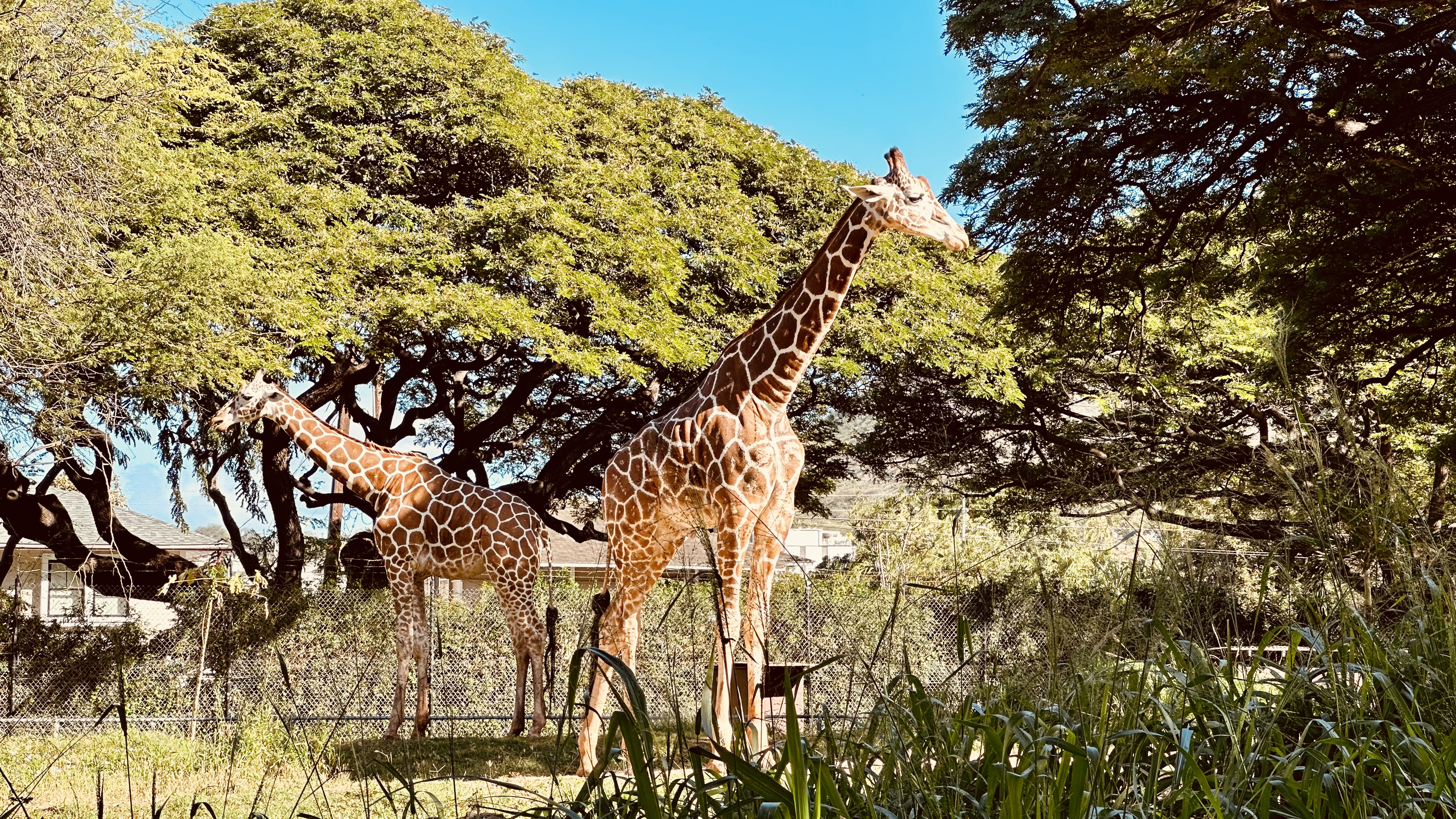 Entrance to the Honolulu Zoo in Waikiki