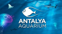 Аквариум в Анталии - фотография 2 из 5