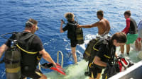 Diving in Kemer — Explore the Mediterranean’s Underwater World with Expert Instructors - photo 2 of 5