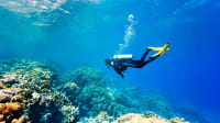Diving in Kemer — Explore the Mediterranean’s Underwater World with Expert Instructors - photo 1 of 5