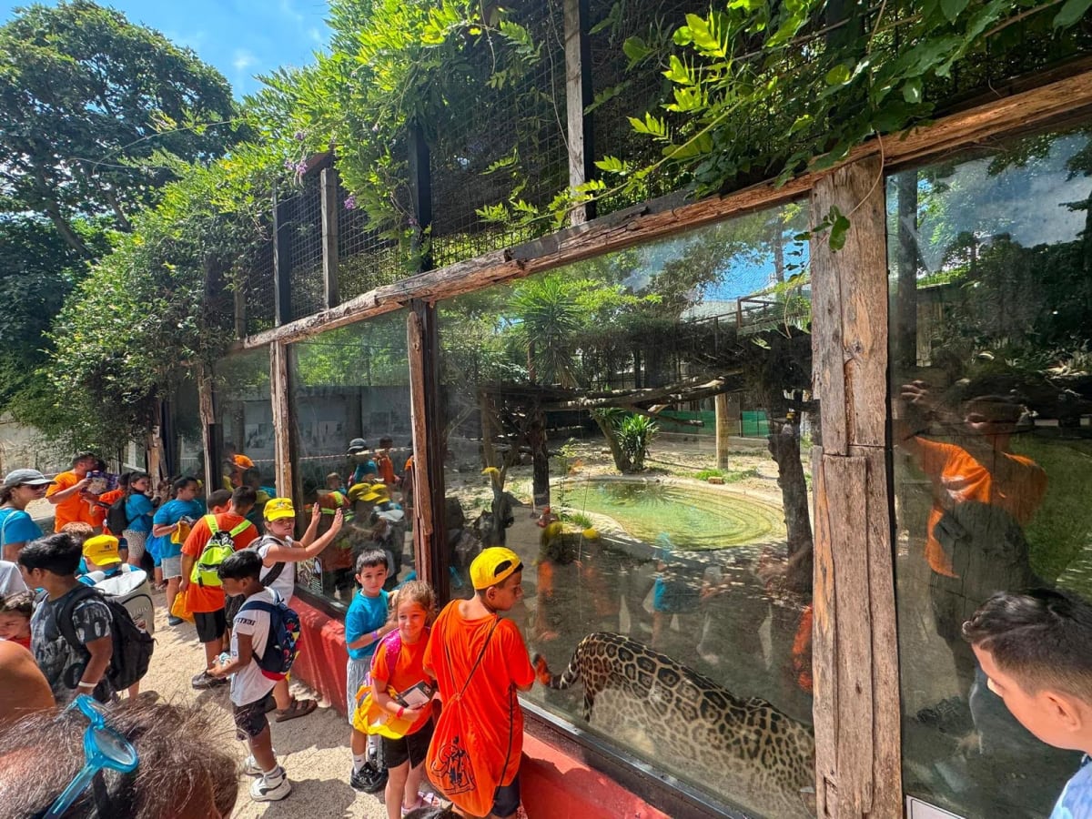Un giorno allo Zoo di Napoli🦁