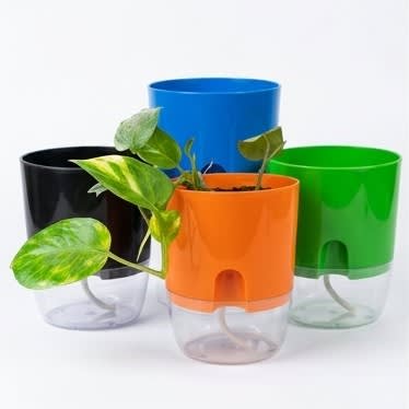 Self watering pots