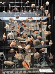 Museo ciencias naturales