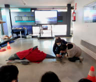 Simulacro de rescate de un delfín