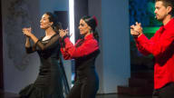 Flamenkat – Concerts Familiars al Palau