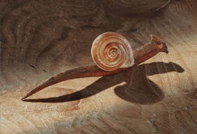 Caminos – Cia. María Parrato